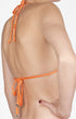 Shan Velour Triangle bikini top
